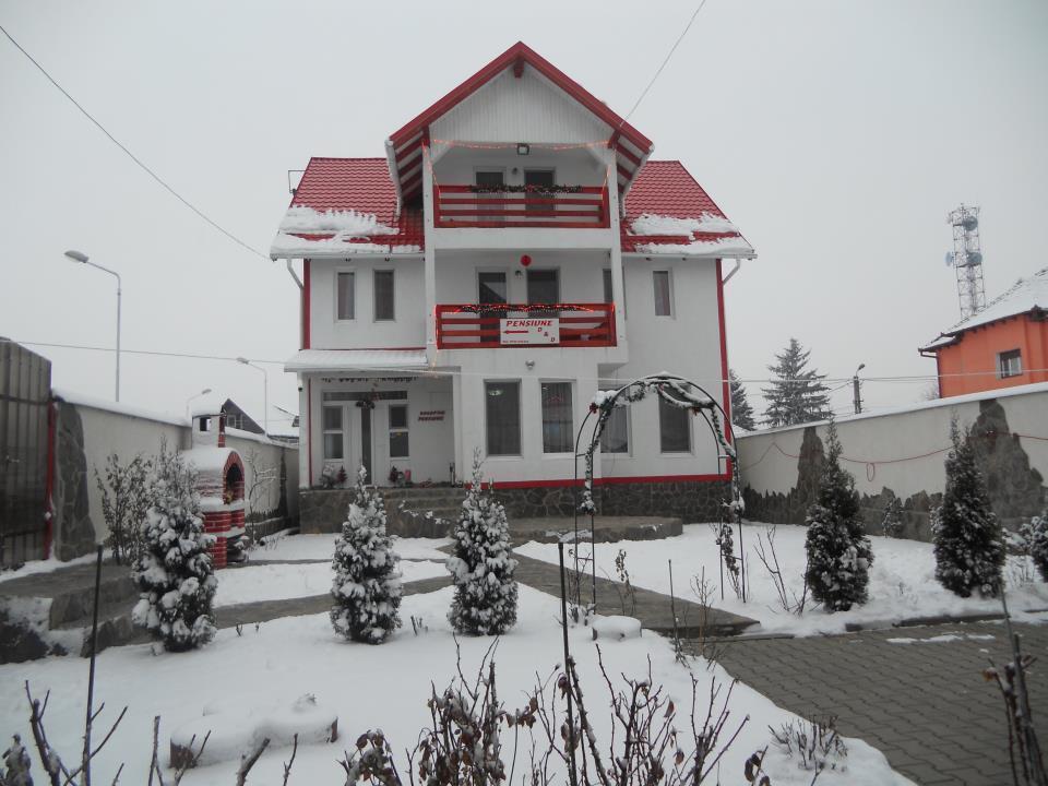 Pensiunea D&D Făgăraş Esterno foto